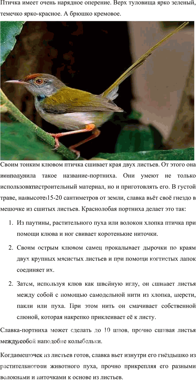 Иллюстрация к решению «Ответы на вопросы на стр.304-305 Часть 2 ГДЗ Коровина Журавлев 5 класс (Литература)», 16