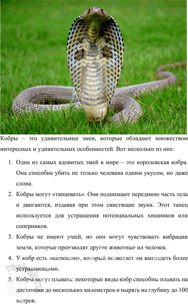 Иллюстрация к решению «Ответы на вопросы на стр.304-305 Часть 2 ГДЗ Коровина Журавлев 5 класс (Литература)», 14