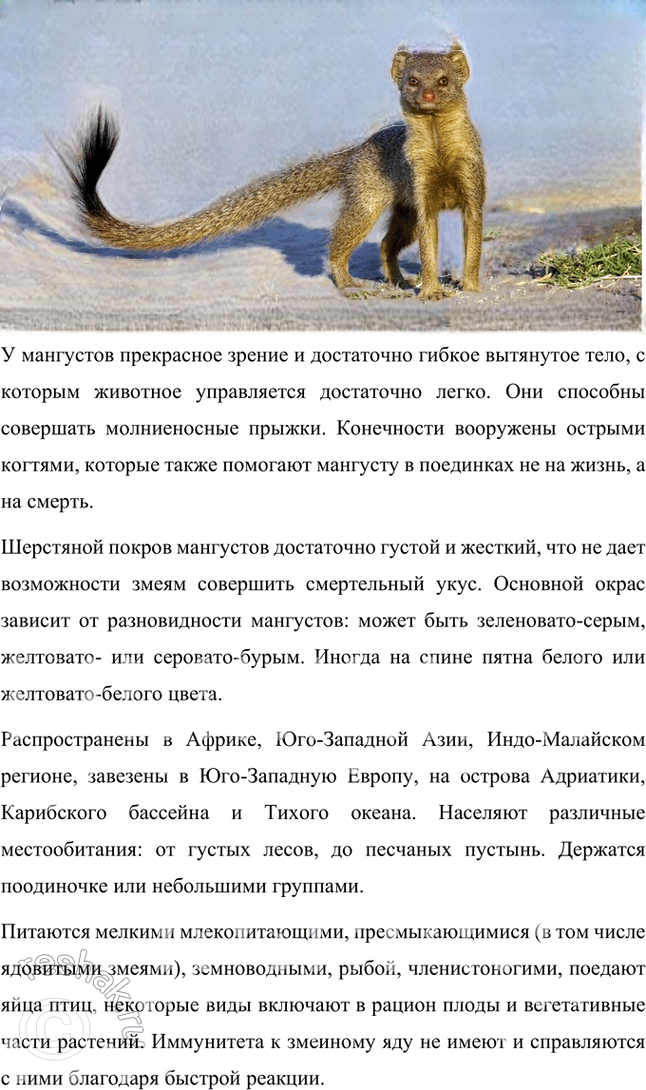 Иллюстрация к решению «Ответы на вопросы на стр.304-305 Часть 2 ГДЗ Коровина Журавлев 5 класс (Литература)», 10